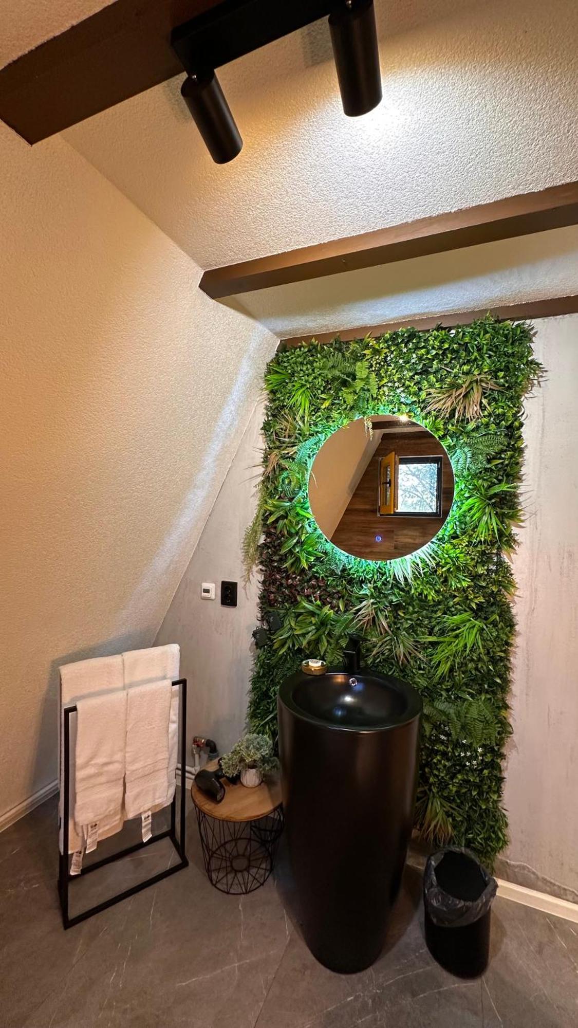 Porumbacu Garden Порумбаку де Сус Екстериор снимка
